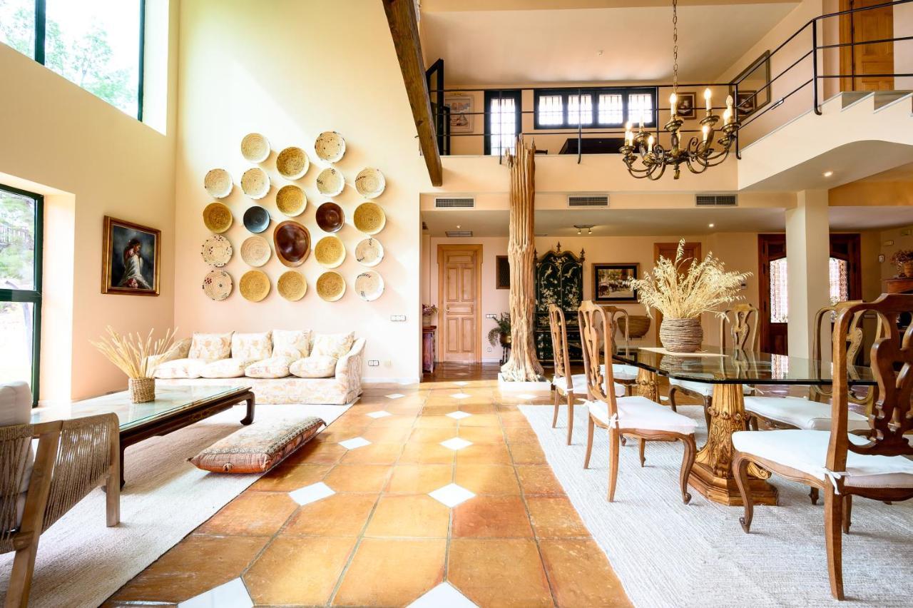 Villa Saguaro Malaga Alhaurín de la Torre Dış mekan fotoğraf