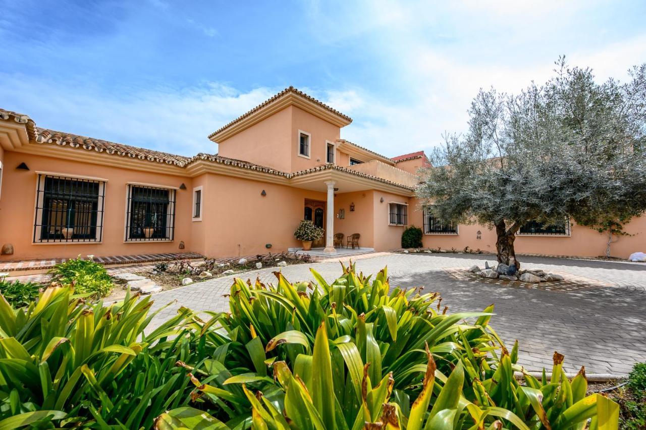 Villa Saguaro Malaga Alhaurín de la Torre Dış mekan fotoğraf