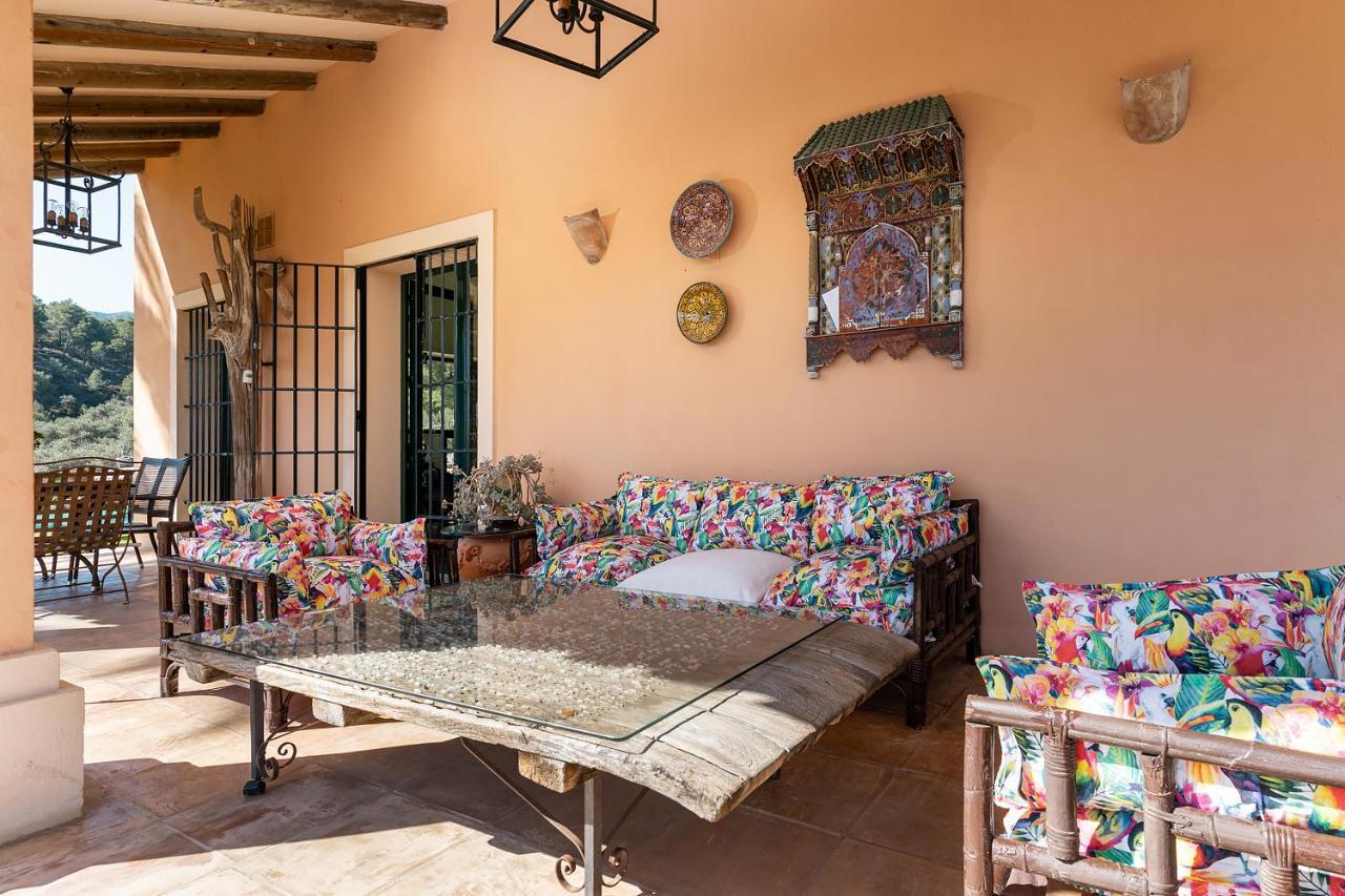 Villa Saguaro Malaga Alhaurín de la Torre Dış mekan fotoğraf